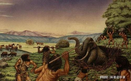 恐怖直立猿吃瓜,恐怖直立猿的神秘食瓜之谜