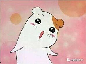 吃瓜往期福利,吃瓜群众的甜蜜收获