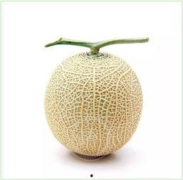 幼崽吃瓜头像,萌态十足，揭秘瓜界萌宝成长记