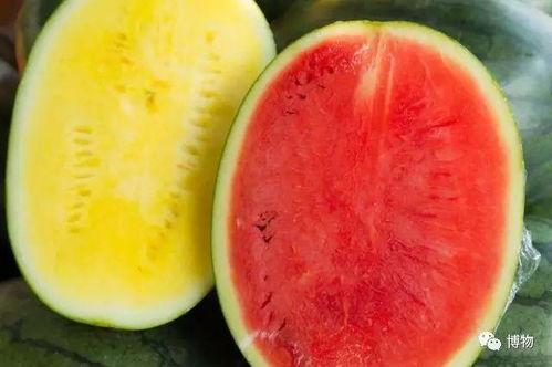 吃高级的瓜,探寻高级瓜果的甜蜜诱惑