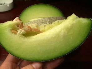 海阳网纹瓜怎么吃,多味食法，尽享夏日清新美味